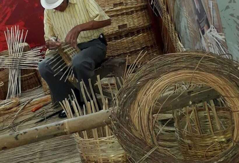 پانسیون Buriti Ecoh Rnt56521