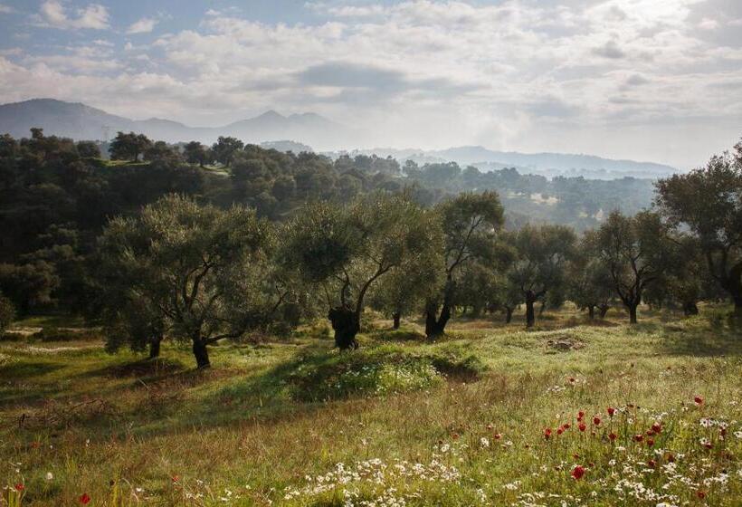 膳宿费 Ionia Guest House