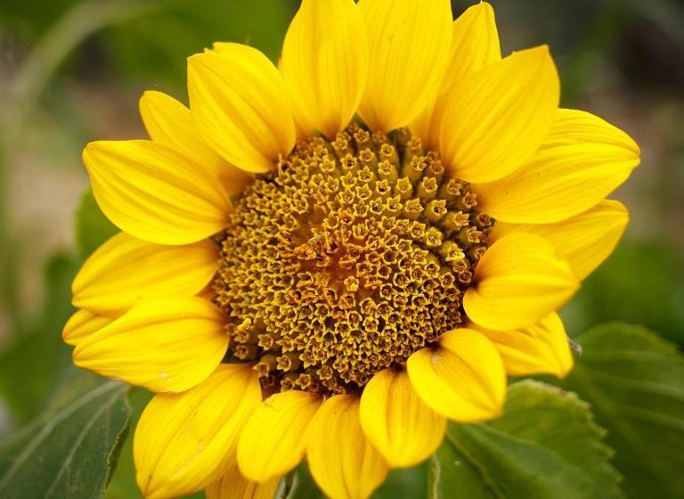 膳宿费 Ionia Guest House