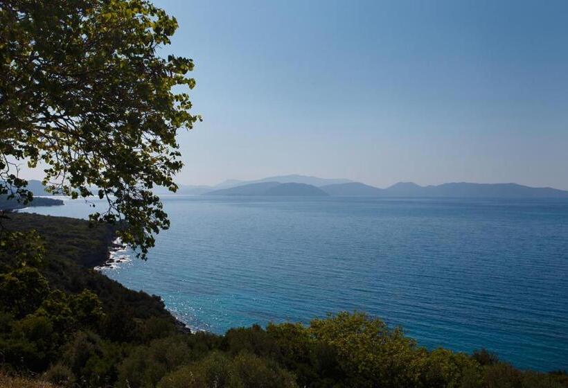 膳宿费 Ionia Guest House