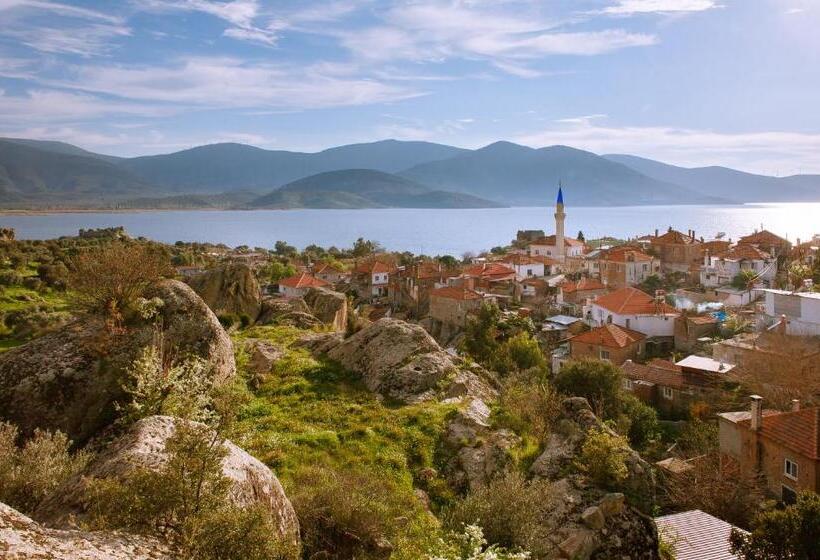 膳宿费 Ionia Guest House