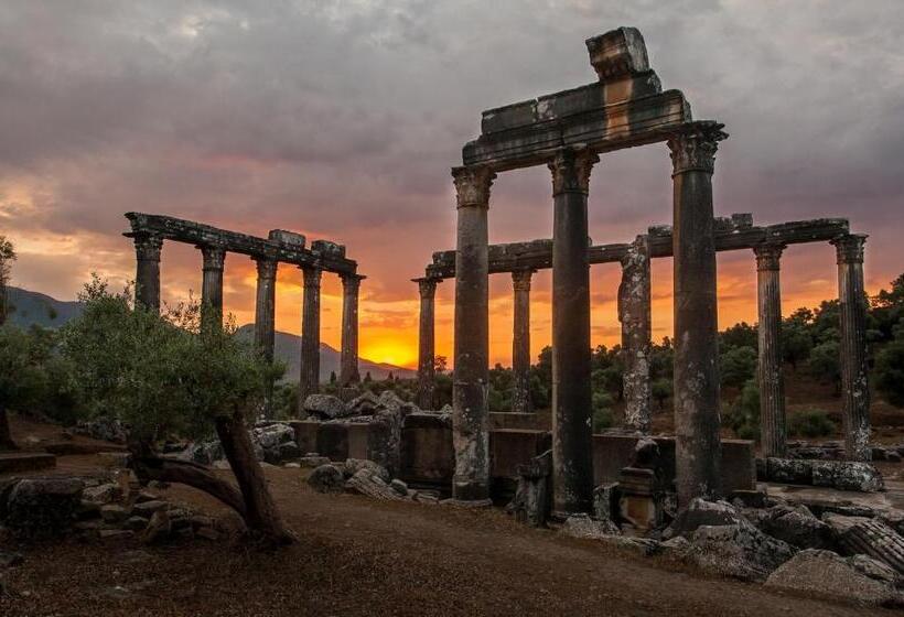 膳宿费 Ionia Guest House