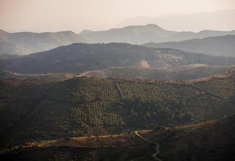 膳宿费 Ionia Guest House