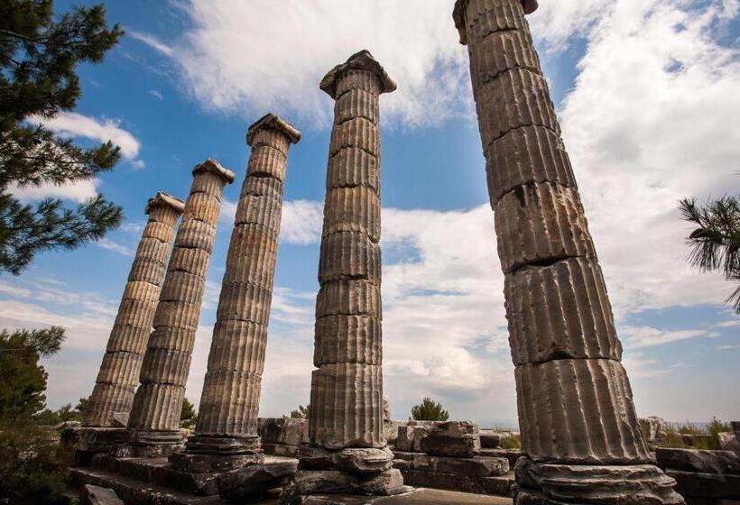 膳宿费 Ionia Guest House