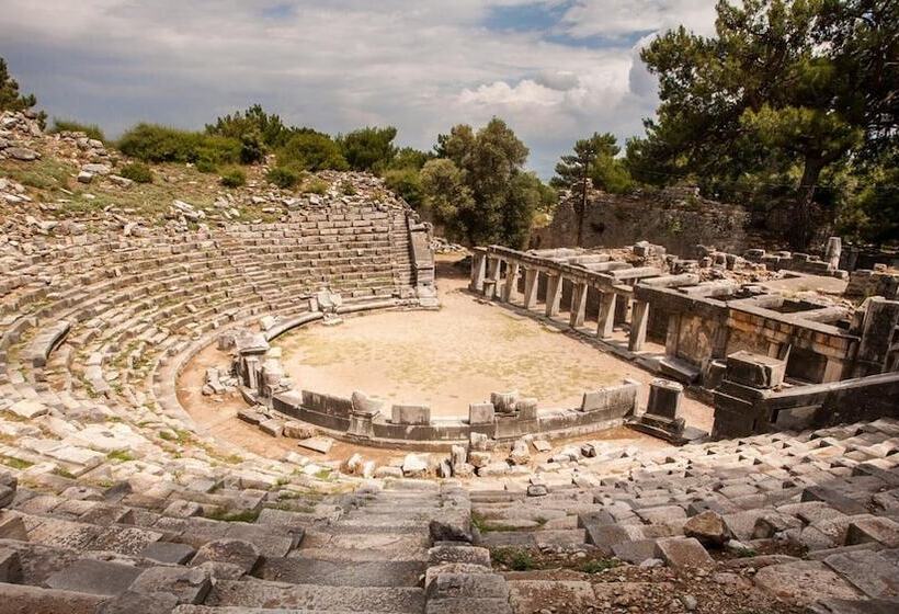 膳宿费 Ionia Guest House