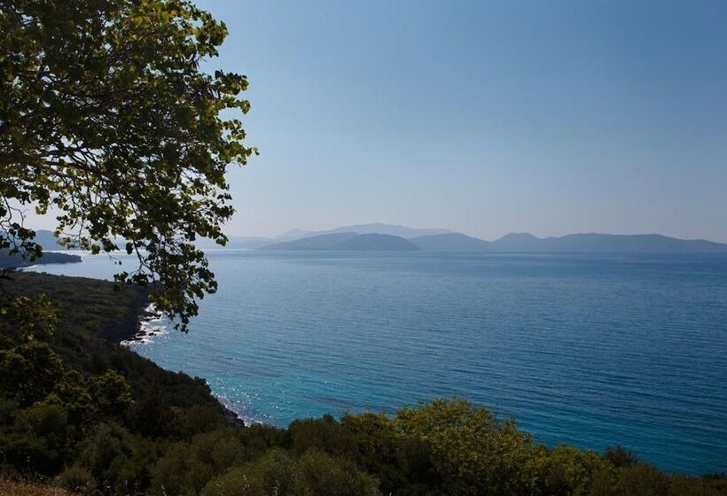 膳宿费 Ionia Guest House