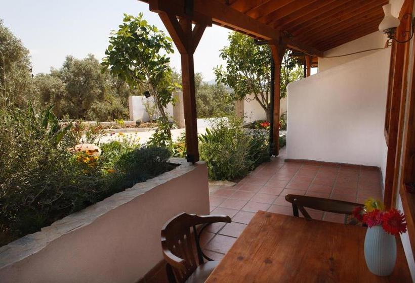 膳宿费 Ionia Guest House