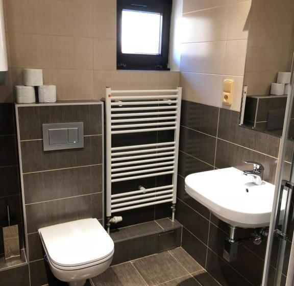 بنسيون Penzion U Larvů