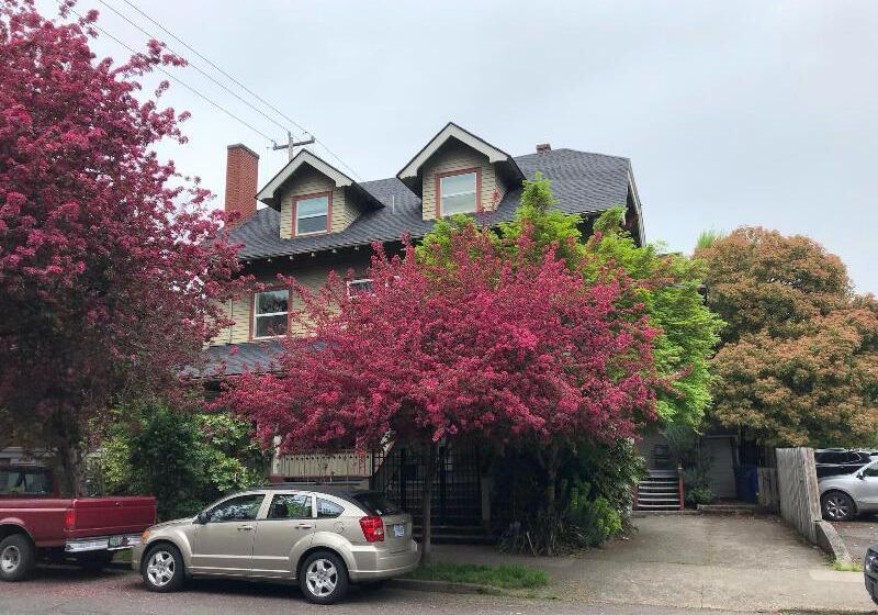 بنسيون Portland International Guesthouse