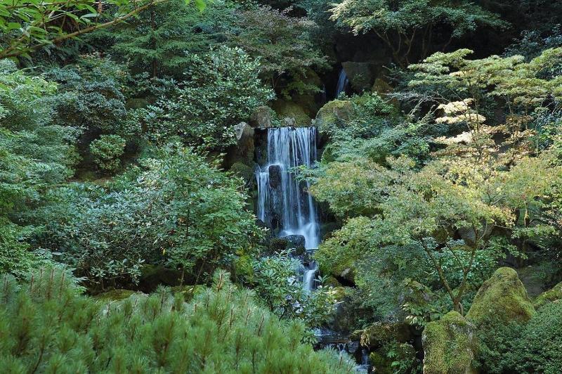 بنسيون Portland International Guesthouse