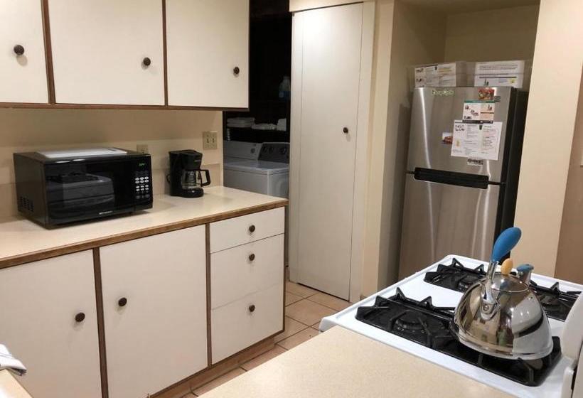 بنسيون Portland International Guesthouse