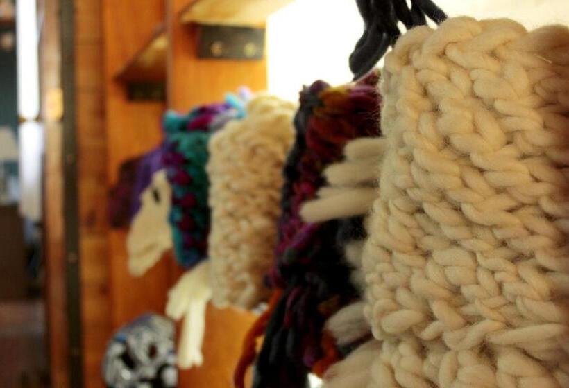 הוסטל Hospedaje Isla Magdalena