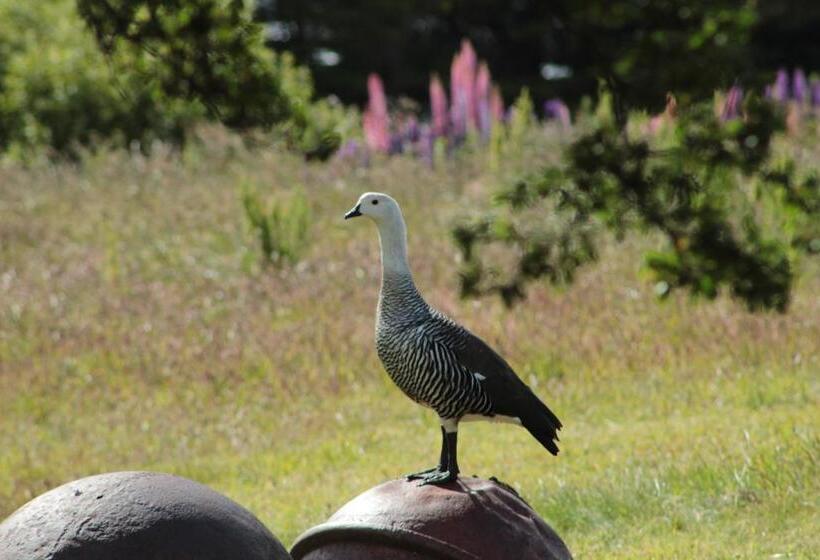 הוסטל Hospedaje Isla Magdalena