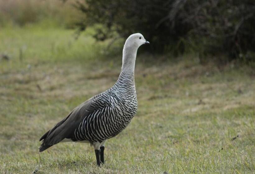 הוסטל Hospedaje Isla Magdalena