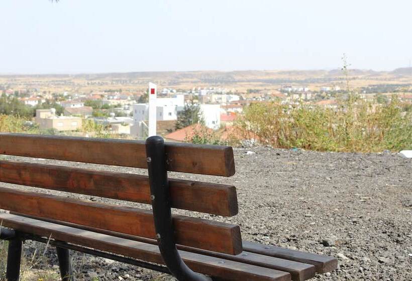 Costas Hostel Action