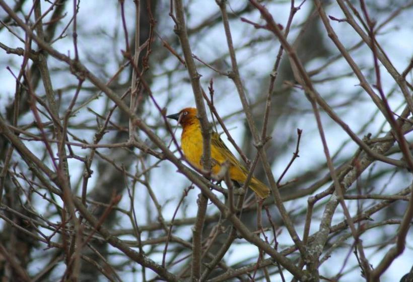 Curry S Post Bed & Breakfast