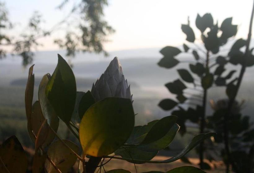 Curry S Post Bed & Breakfast