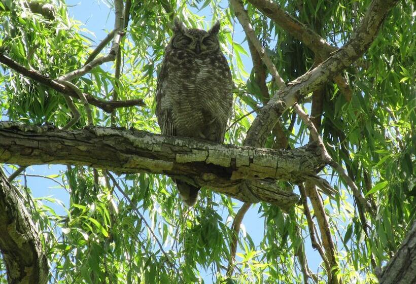 پانسیون Acara Guesthouse & Cottages