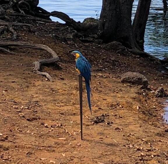 ペンション Amazônia Parksuítes