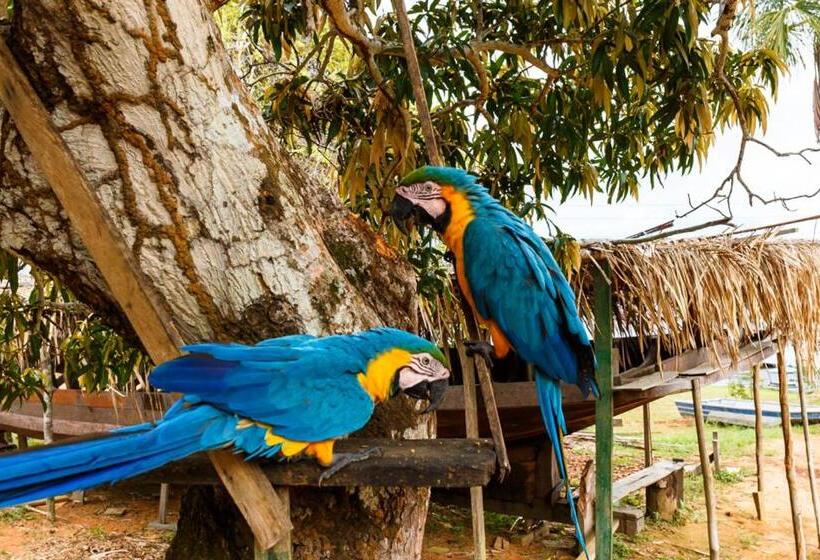 ペンション Amazônia Parksuítes