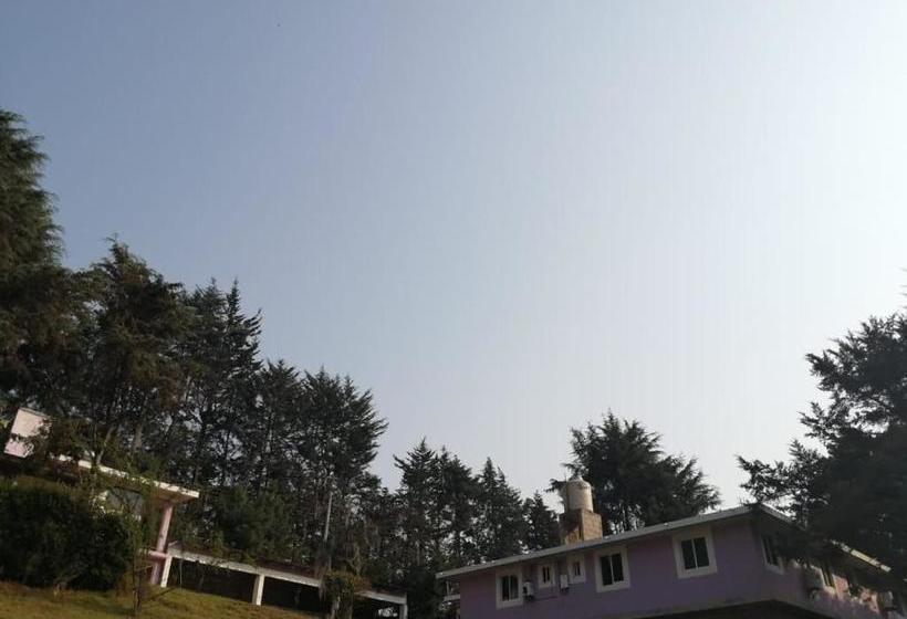 بنسيون Bosques