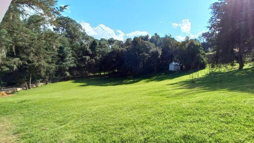 بنسيون Bosques