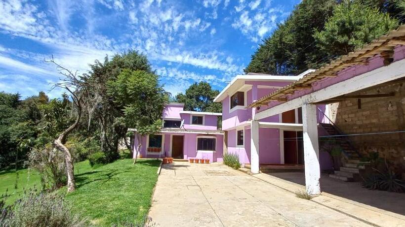 بنسيون Bosques