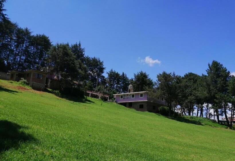 بنسيون Bosques