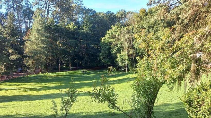 بنسيون Bosques