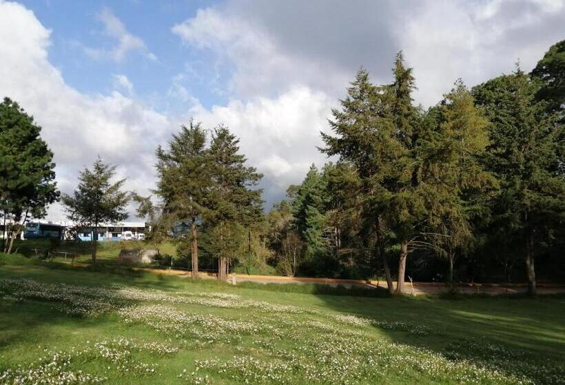 بنسيون Bosques