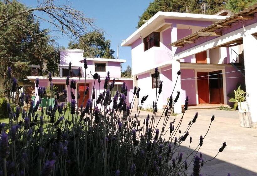 بنسيون Bosques