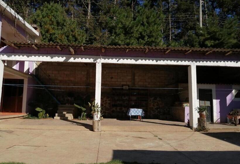 بنسيون Bosques