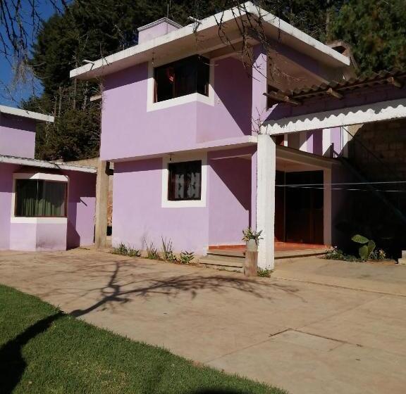 بنسيون Bosques