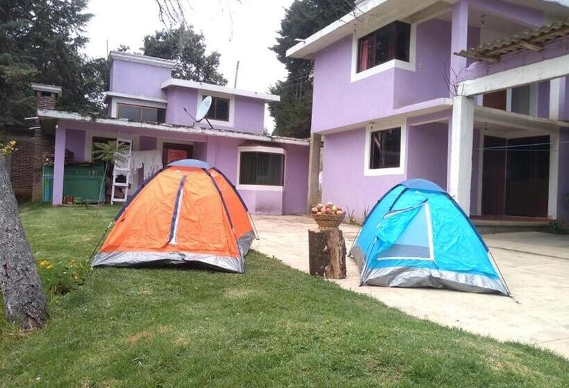 بنسيون Bosques