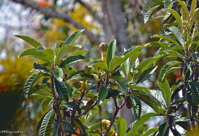 פנסיון Pousada Lakshmi