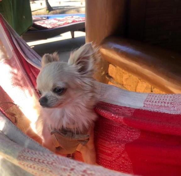 פנסיון Pousada Udexere Eco House