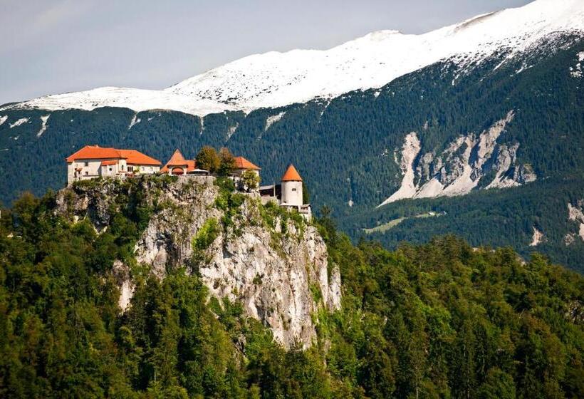 پانسیون Vila Lipa