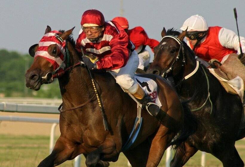Pillow And Paddock B&b