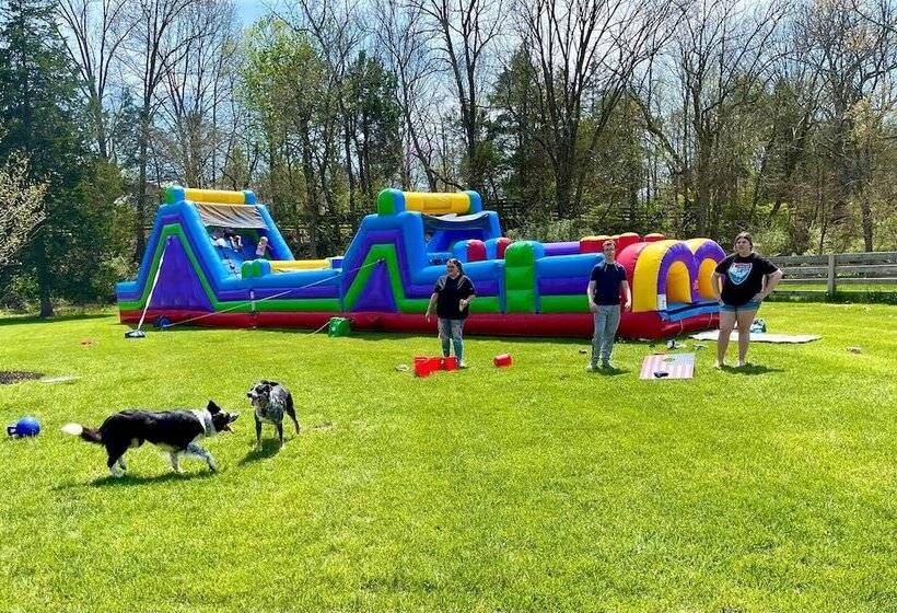 Pillow And Paddock B&b