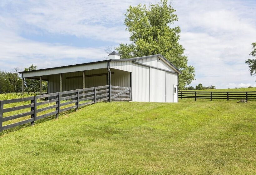 Pillow And Paddock B&b