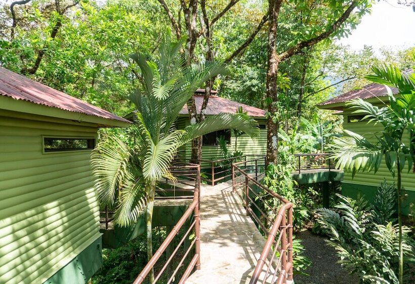 Отель Arbol Verde Villas