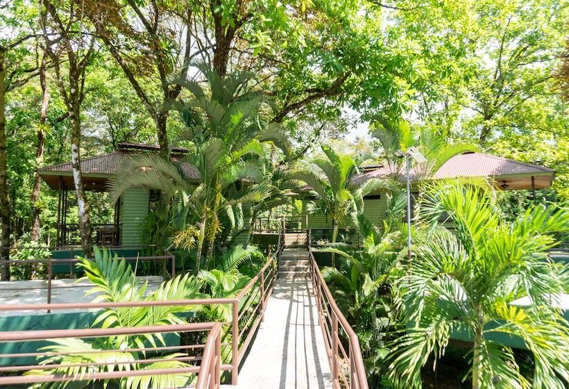 Отель Arbol Verde Villas