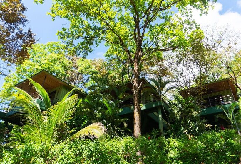 Отель Arbol Verde Villas