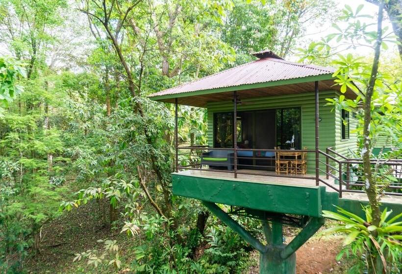 Отель Arbol Verde Villas