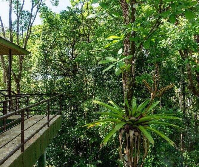 Отель Arbol Verde Villas