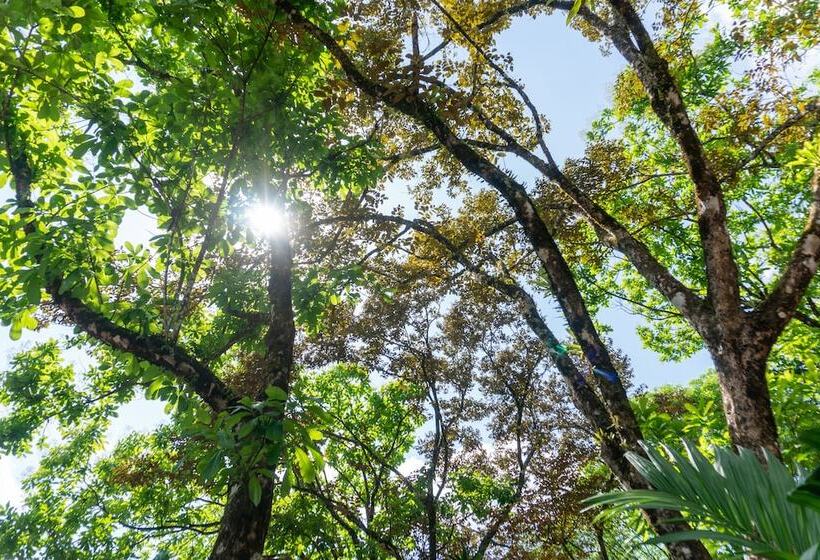 Отель Arbol Verde Villas