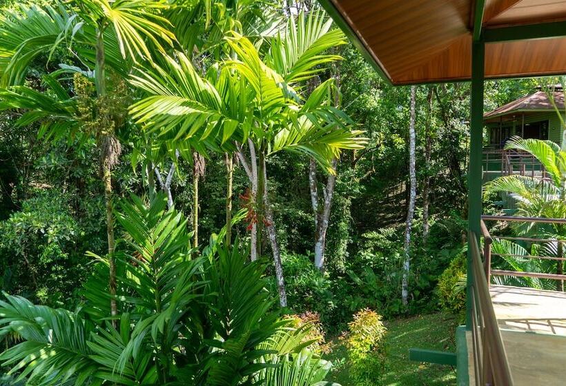 Отель Arbol Verde Villas