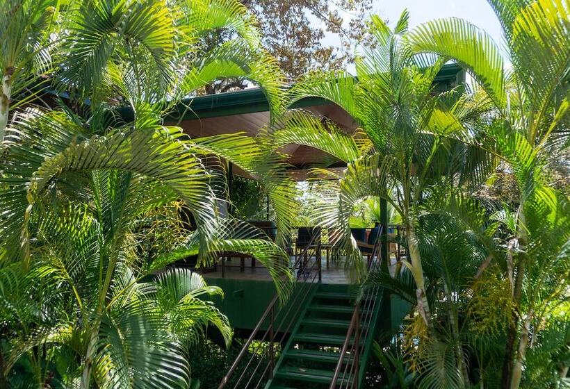 Отель Arbol Verde Villas