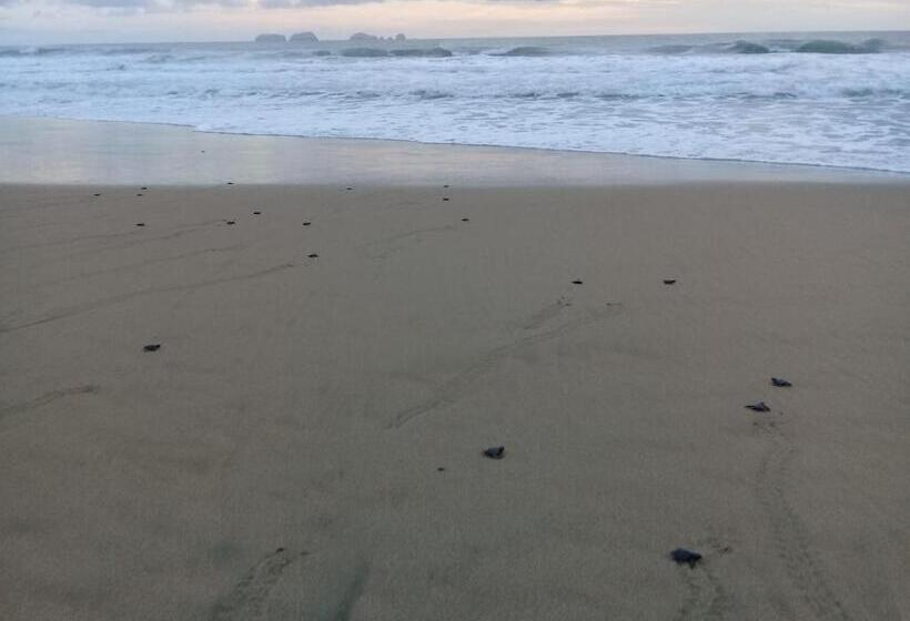 فندق Villas Punta Blanca