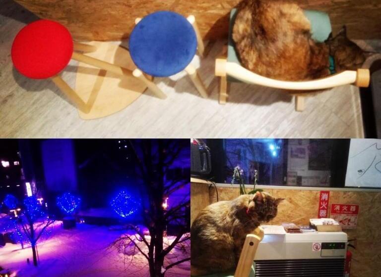 פנסיון Asahikawa Ride